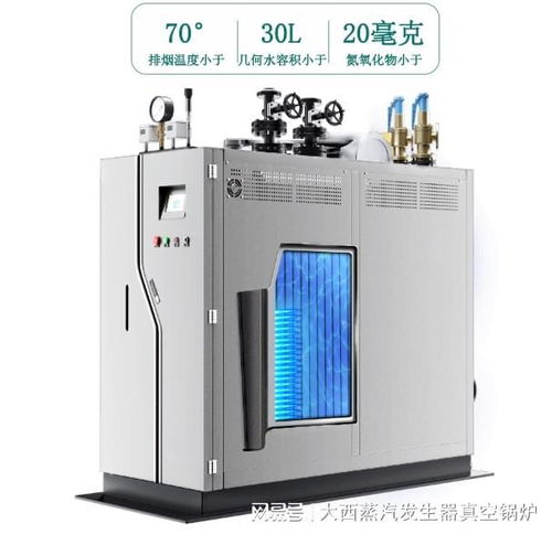 低氮環(huán)保燃?xì)庹羝l(fā)生器