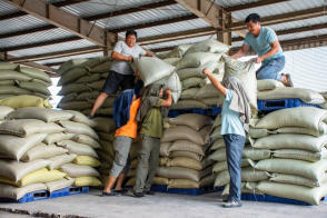 高效搬運服務(wù) 人工裝卸、設(shè)備搬運與工廠搬遷一體化解決方案